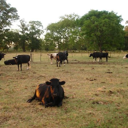 Hotel De Campo La Morena Ezeiza Kültér fotó